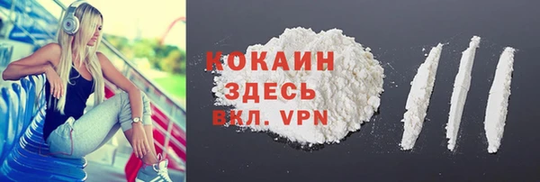 a pvp Магас