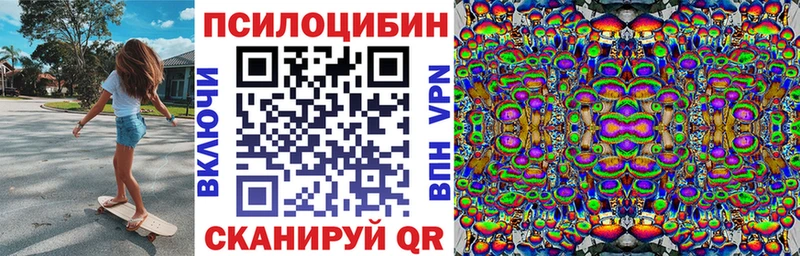 Псилоцибиновые грибы GOLDEN TEACHER  как найти наркотики  Шилка 